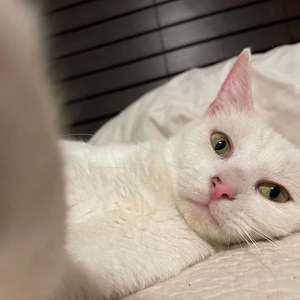 Meet your Posher, Elena